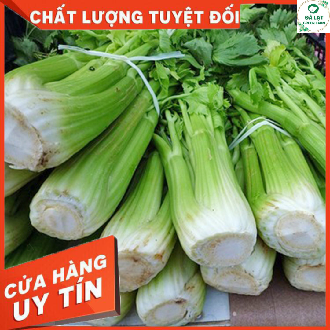 100H - HẠT GIỐNG CẦN TÂY MỸ KHỔNG LỒ