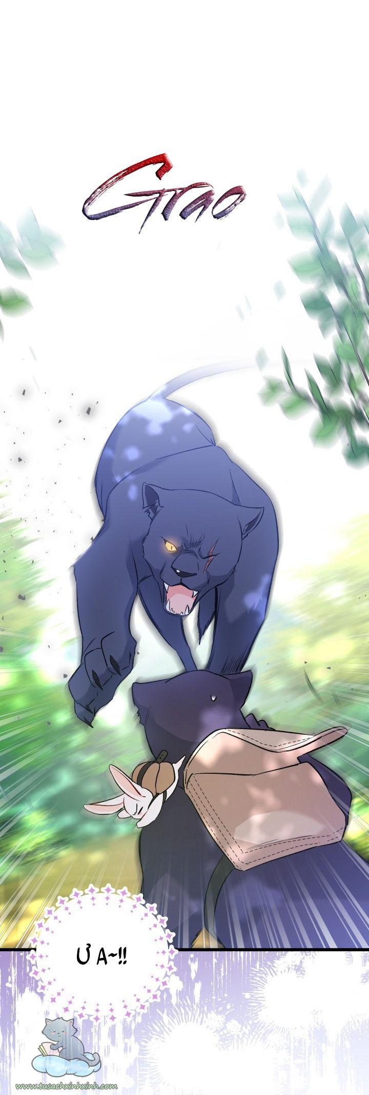 quan hệ cộng sinh giữa báo đen và thỏ trắng chapter 61 28