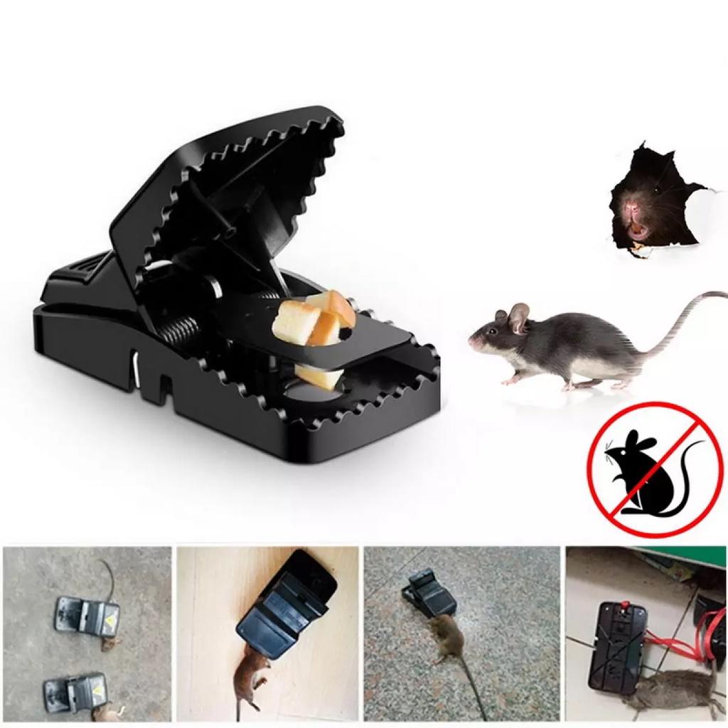 BẪY CHUỘT ĐEN THÔNG MINH