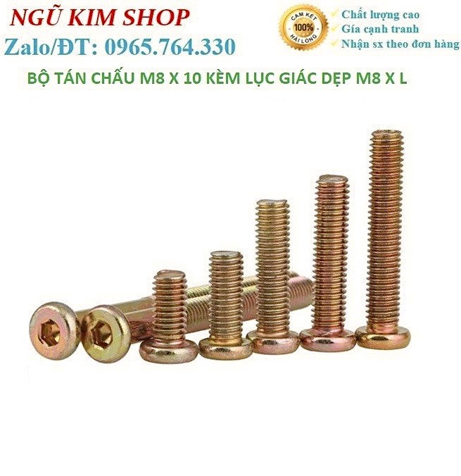 TÁN CHẤU M8 x 10 KÈM LỤC GIÁC DẸP M8 x L THEO BỘ