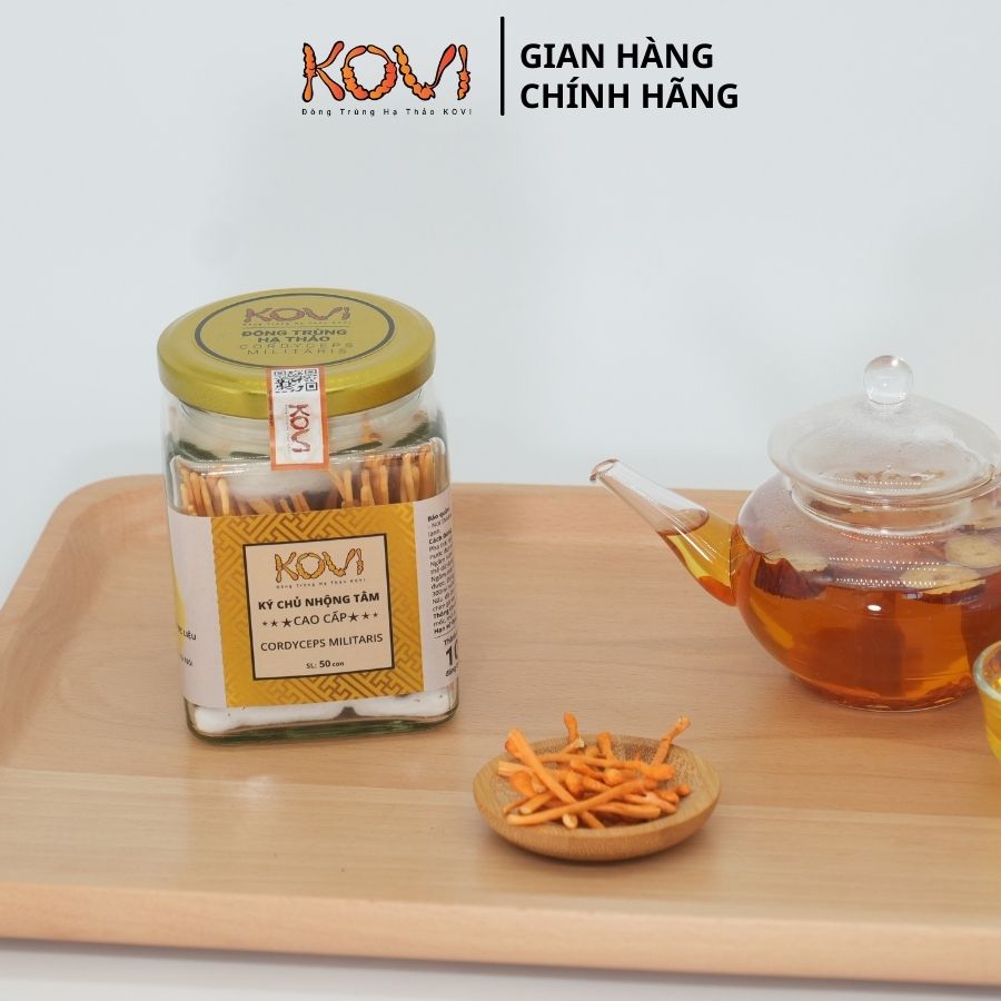 [Mua 3 tặng 1] Đông trùng hạ thảo KOVI ký chủ nhộng tằm nguyên con khô sấy thăng hoa | 50 con