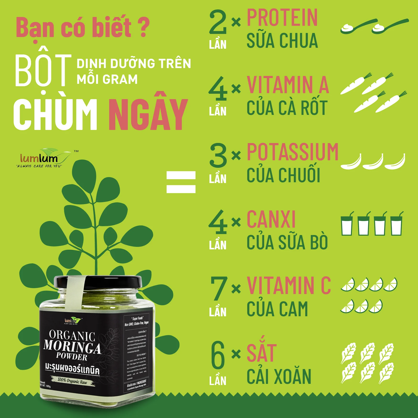 Bột chùm ngây hữu cơ Lumlum Organic Moringa Powder 150g