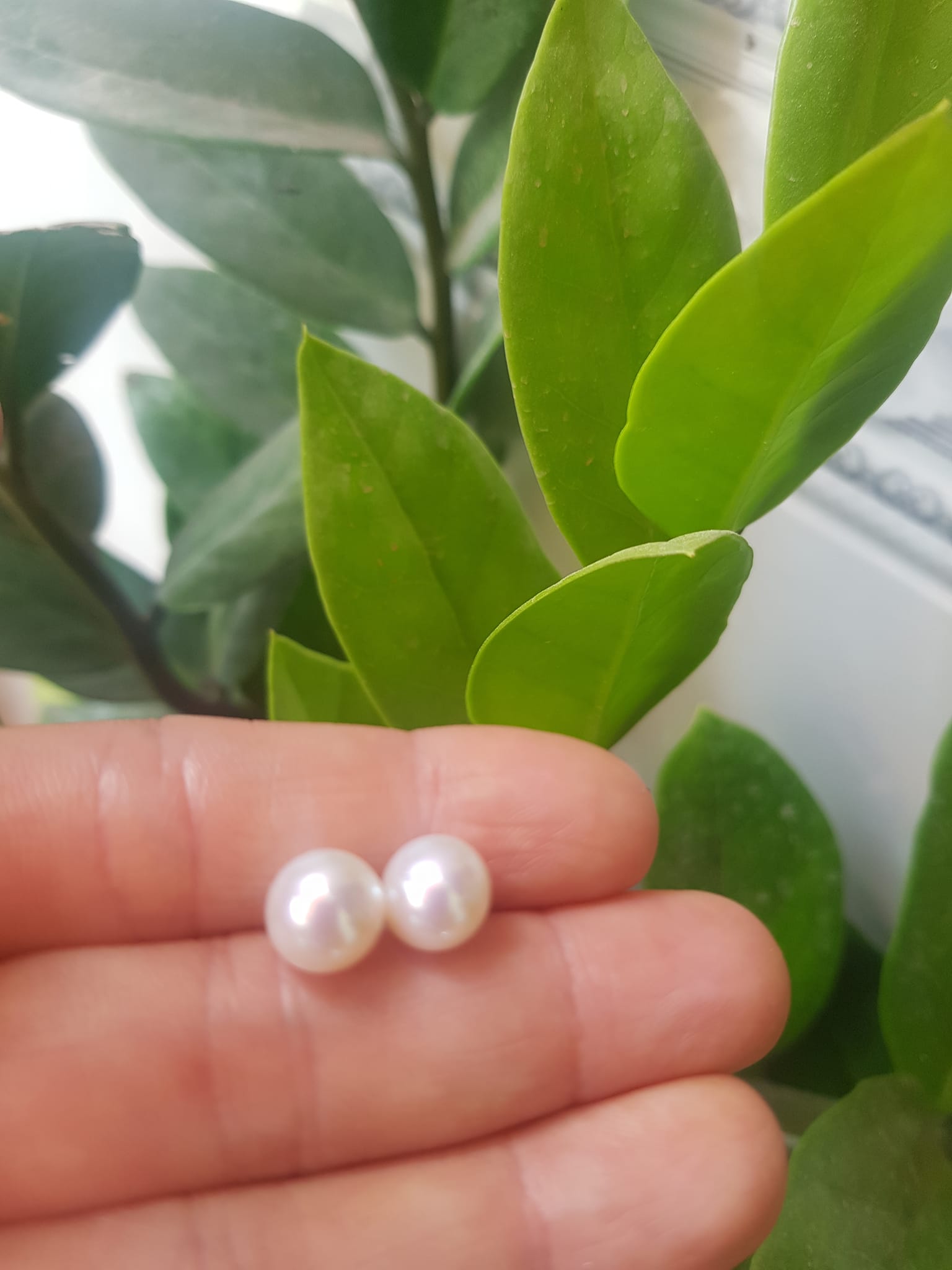 Đôi Bông Ngọc Trai Cao Cấp Bóng Đẹp  Cặp Bông tai màu Trắng Bóng size 8mm vừa đẹp  Nữ Bọc Vàng đeo lên tay vừa đẹp vừa sang ạ