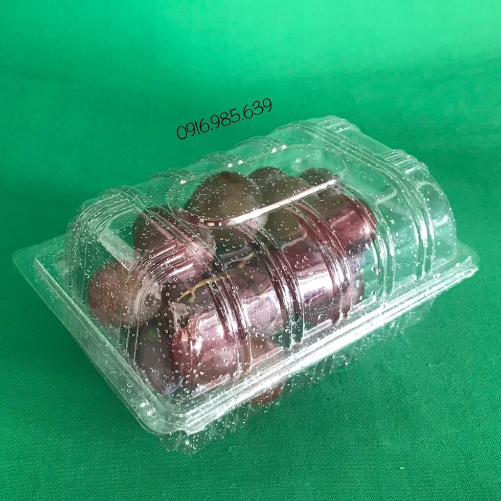 100 CÁI HỘP NHỰA TRONG BẢO QUẢN TRÁI CÂY HH149