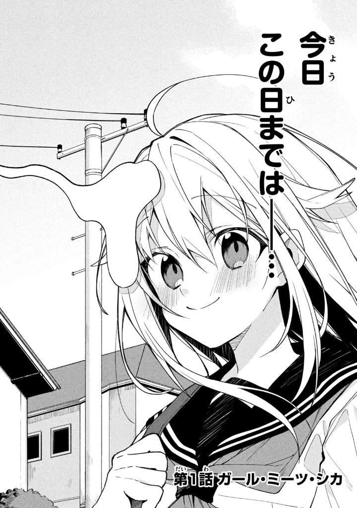 Sách ngoại văn: My Deer Friend Nokotan 1 (Japanese Edition)