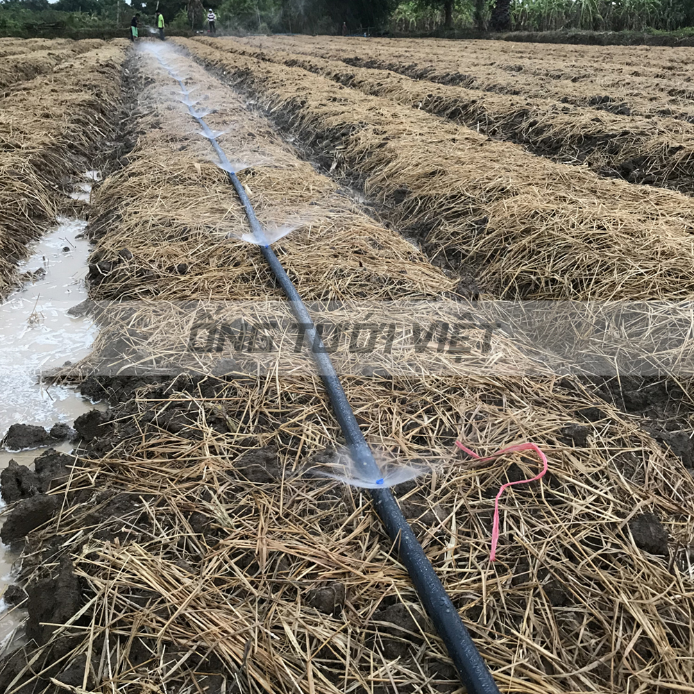 200m Ống dây tưới mềm Nguyễn Tân phi 21 - Không đục lỗ | Ống mềm sử dụng trong hệ thống tưới nông nghiệp