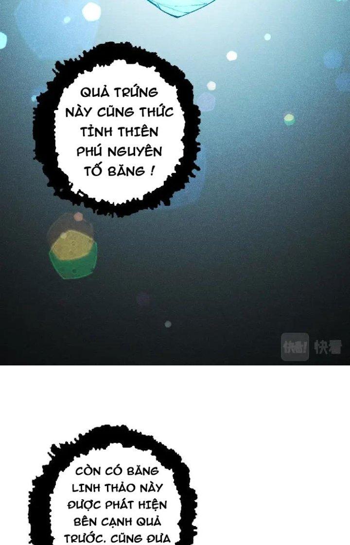 từ cây cổ thụ bắt đầu tiến hóa chapter 38 61