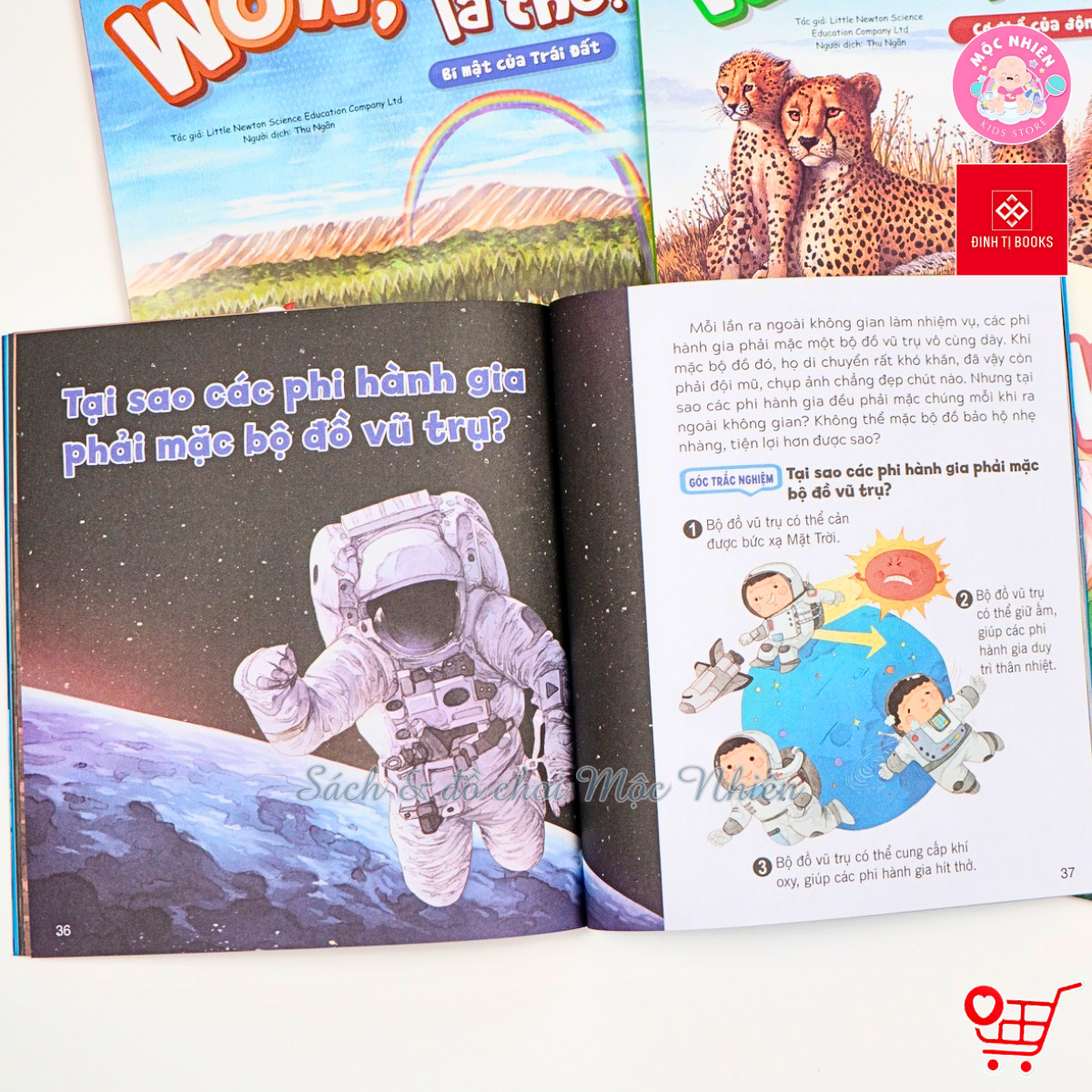 Sách - Wow, thì ra là thế! Dành cho bé từ 6-12 tuổi - Đinh Tị Books