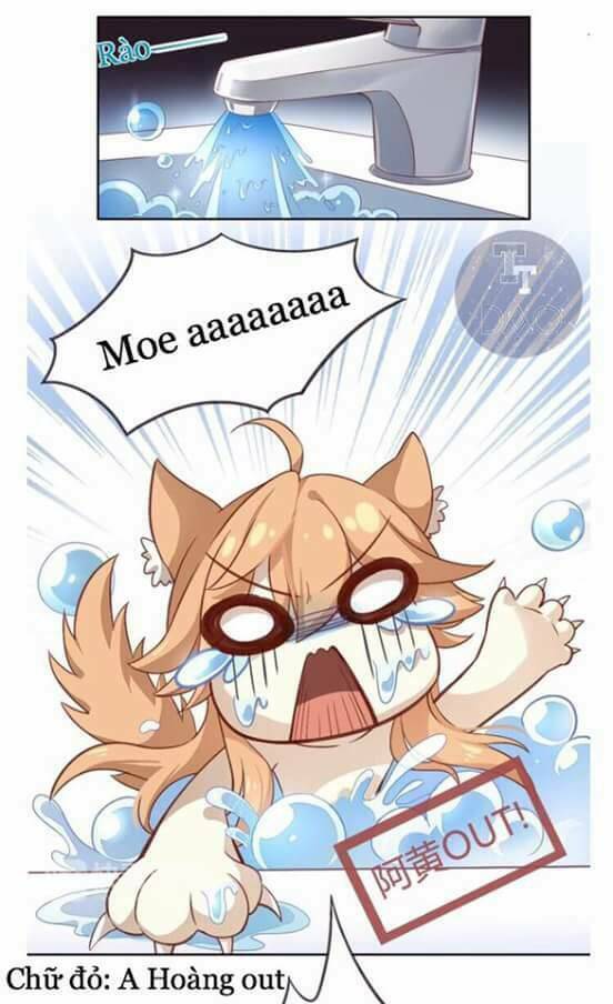 dưới móng vuốt mèo chapter 1 25