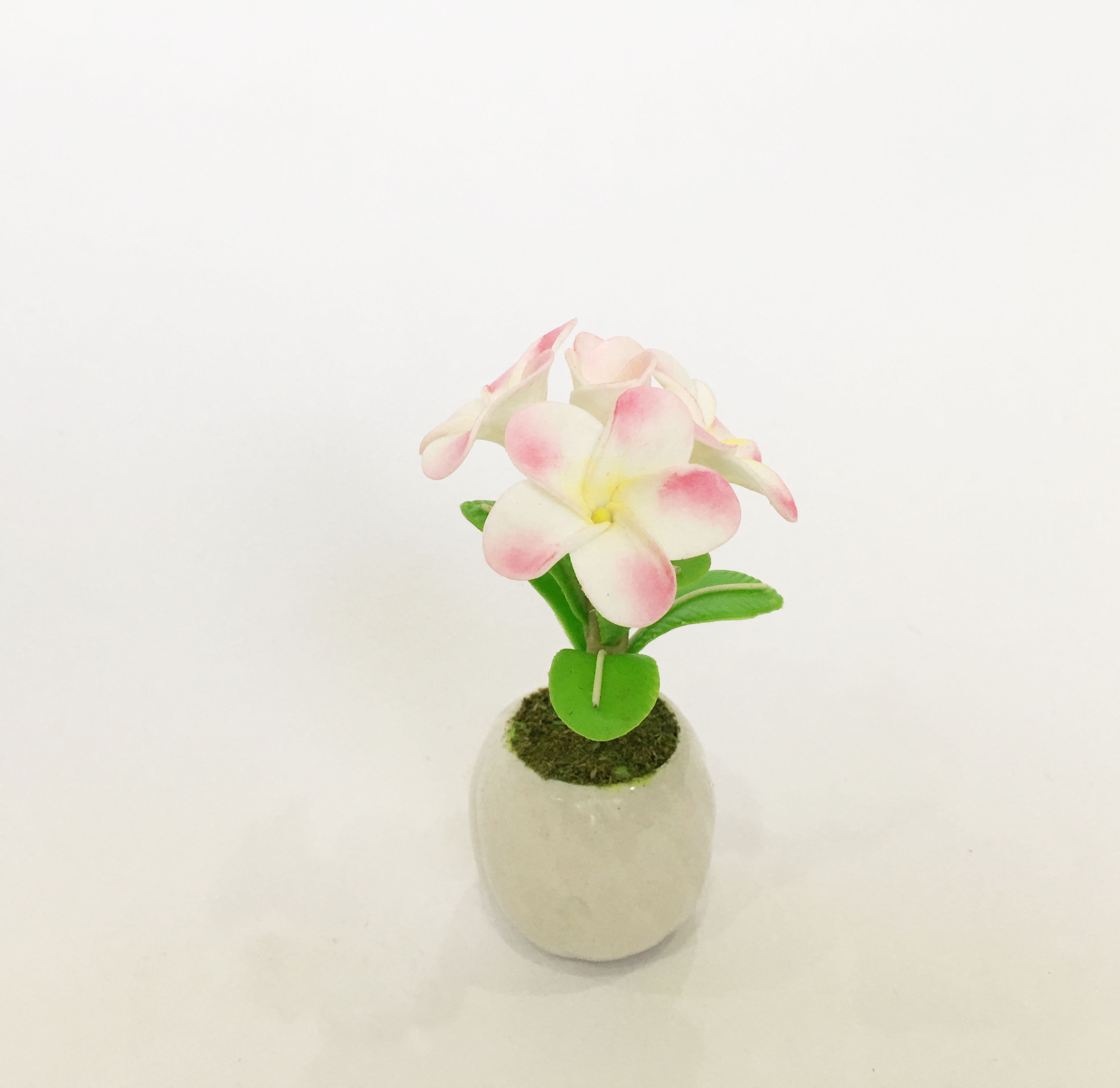 Chậu hoa đất sét mini - Cây hoa sứ (phát màu ngẫu nhiên) - Quà tặng trang trí handmade