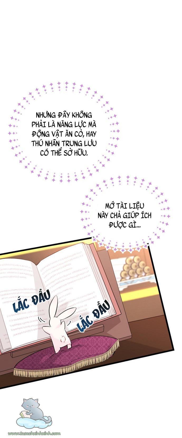 quan hệ cộng sinh giữa báo đen và thỏ trắng chapter 47 61