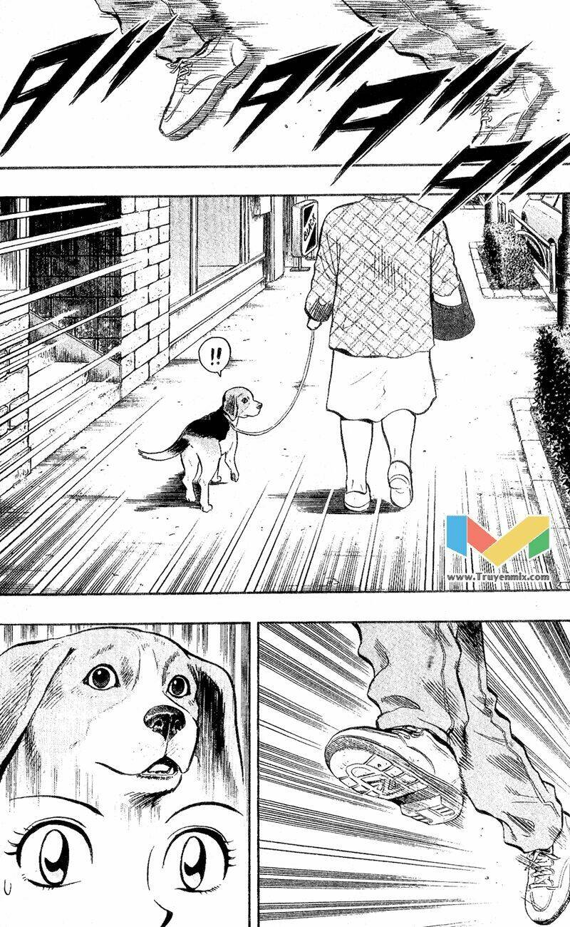 animal sense chapter 1 33