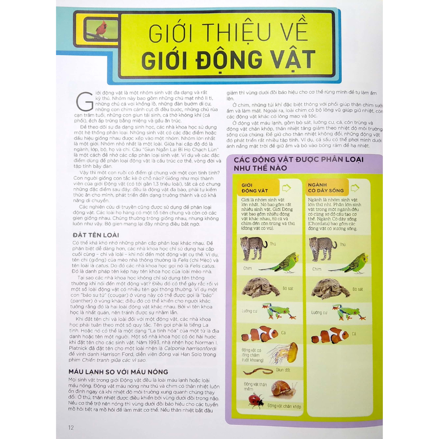 Bách Khoa Thư Động Vật