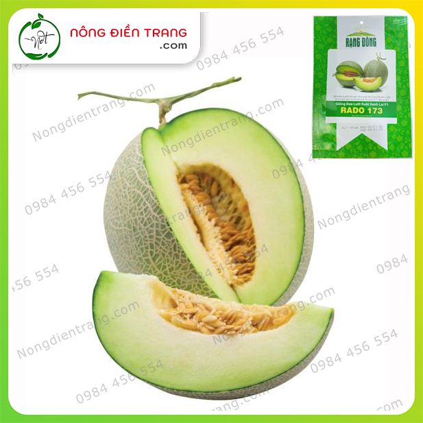 Hạt Giống Dưa Lưới Ruột Xanh Lai F1 Siêu Ngọt Rạng Đông - Gói 10 Hạt - Trồng được Quanh Năm, Sinh Trưởng Phát Triển Mạnh, Sai Trái VTNN Nông Điền Trang