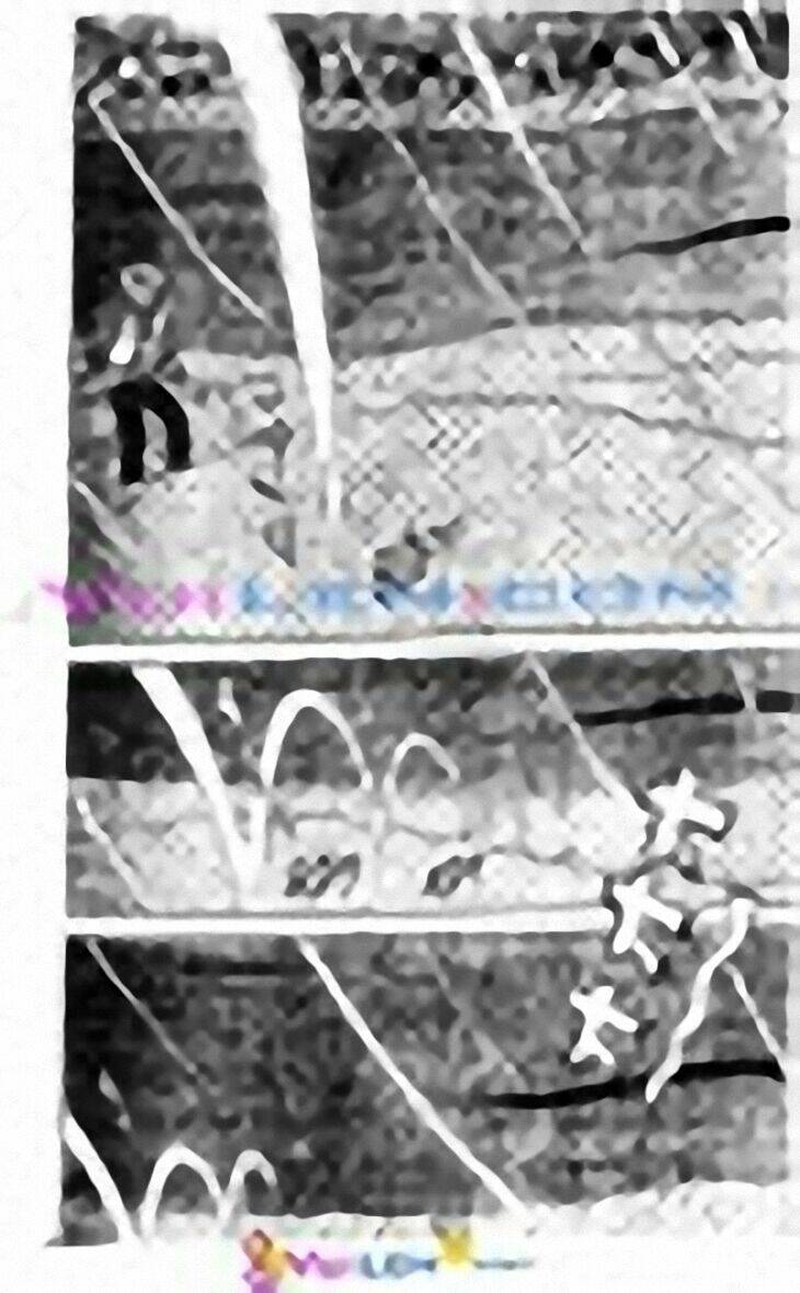 tân teppi chapter 58 123