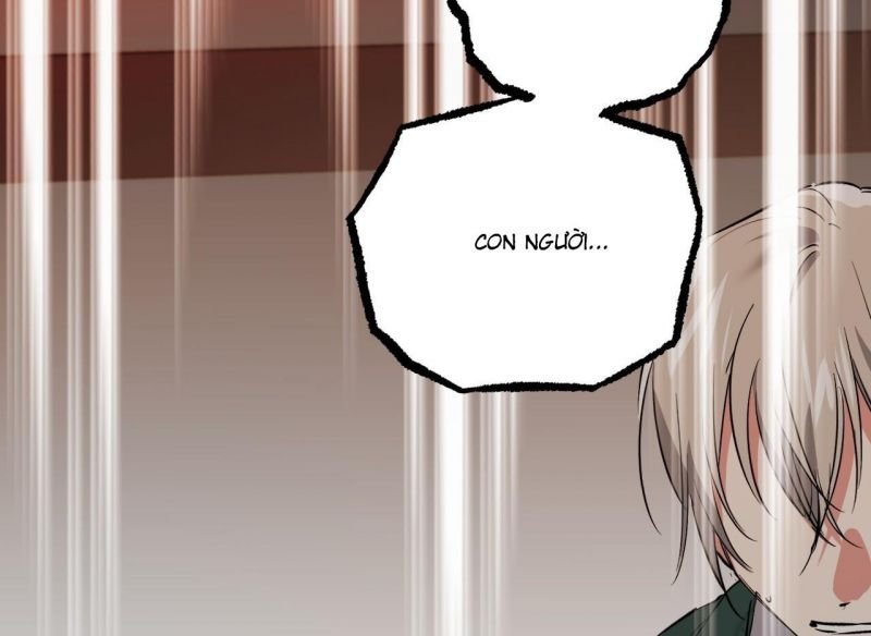 những chú thỏ của hapypy chapter 64.5 151