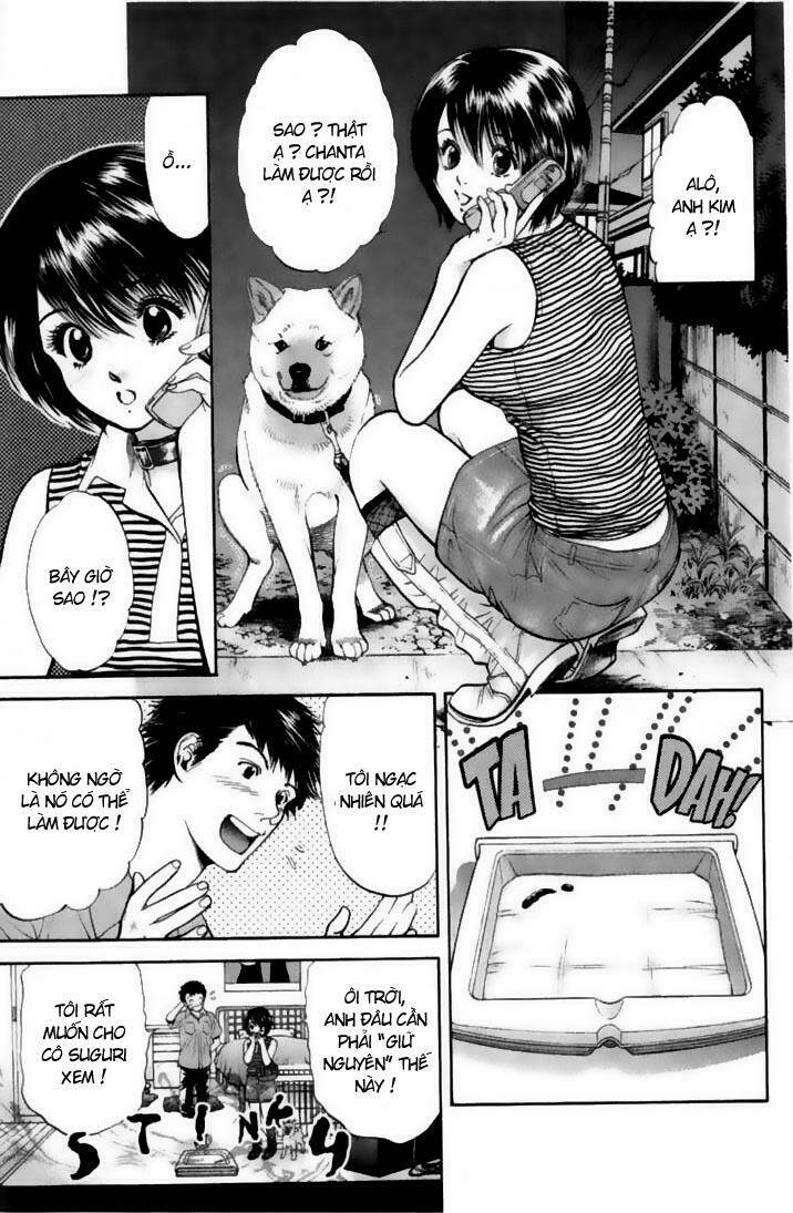 cô nàng yêu chó chapter 21 7