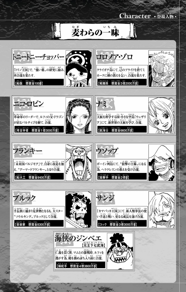 One Piece 105 (Japanese Edition)