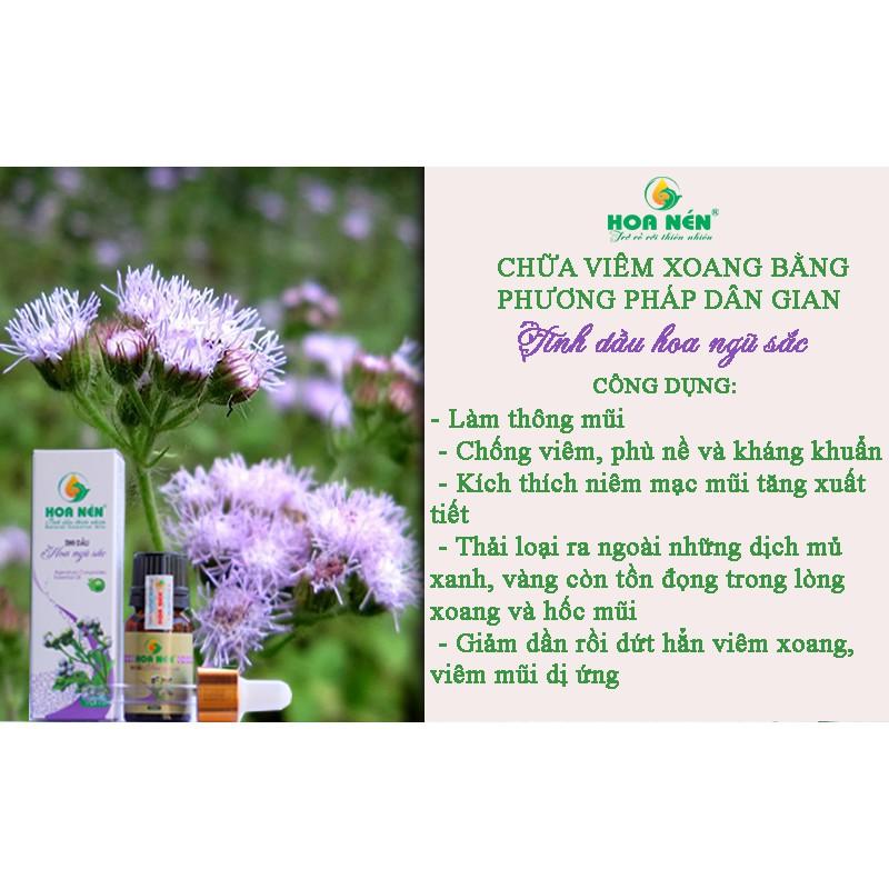 Tinh dầu hoa Ngũ sắc (cỏ hôi) nguyên chất Hoa Nén 5ml - 10ml - Đặc trị viêm xoang, viêm mũi dị ứng