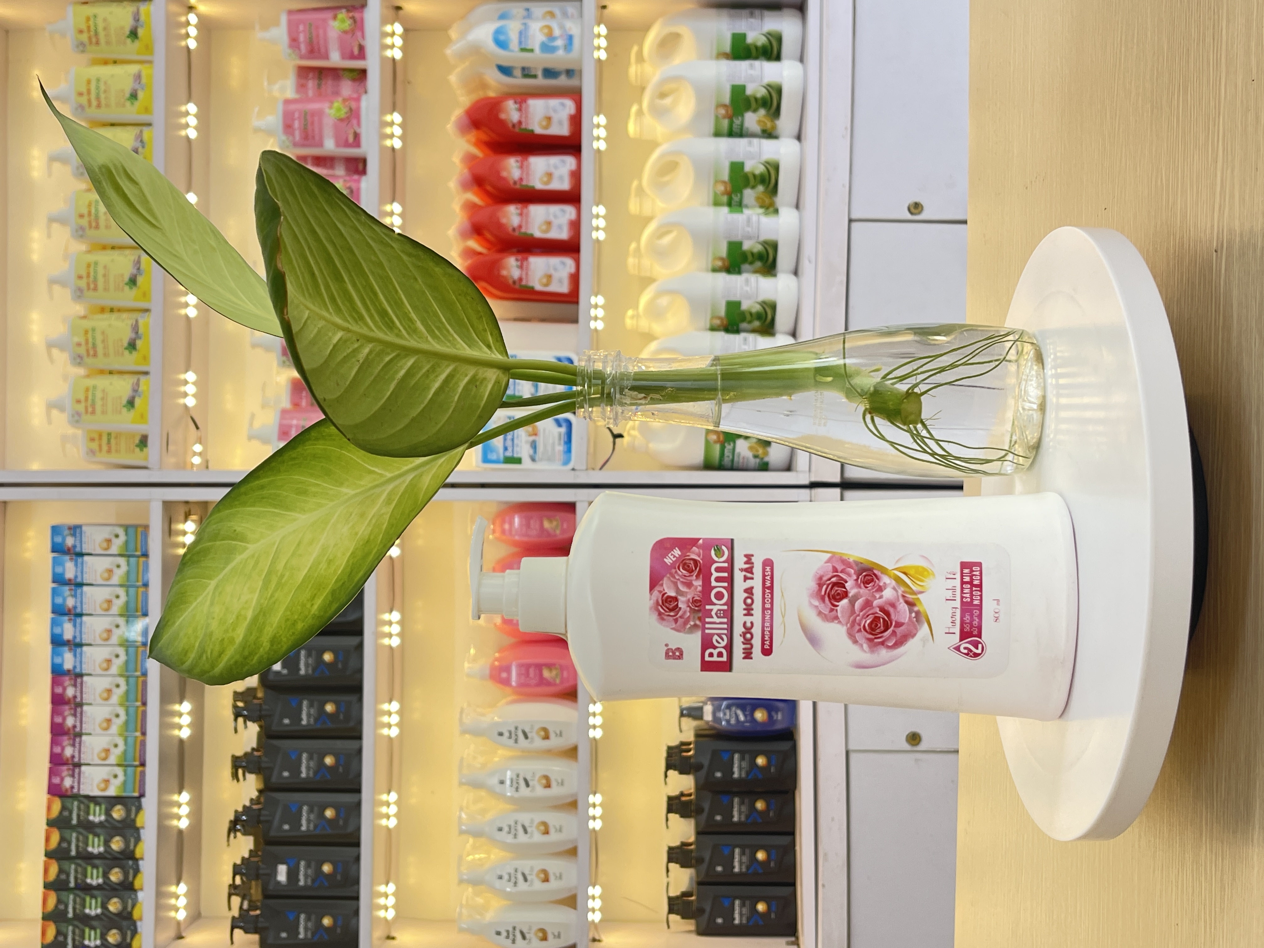 Nước Hoa Tắm Bell Home 800G