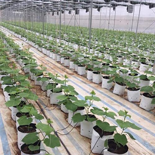 Túi Bầu Ươm Cây 2 Da Bền Đẹp Có Thể Tái Sử Dụng VTNN Nông Điền Trang