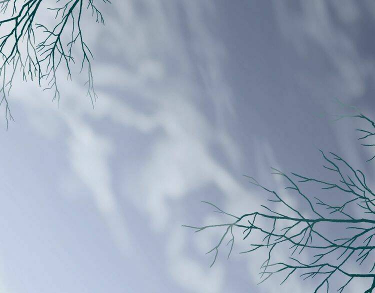 hoa nhan sách chapter 46.1 4