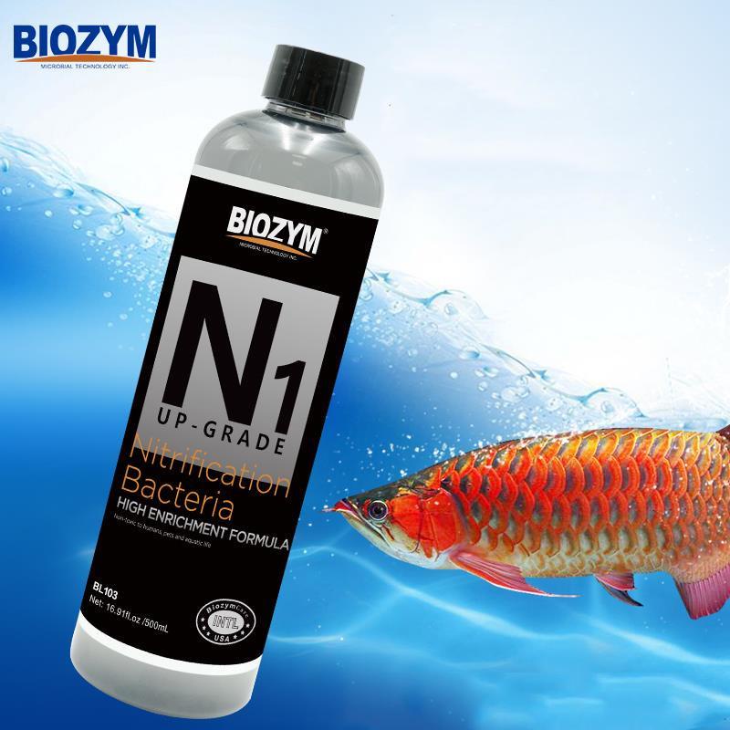 Vi sinh Biozym N1 xử lý độc tố và làm trong nước bể thủy sinh - vi sinh cho hồ cá cảnh - bể thủy sinh