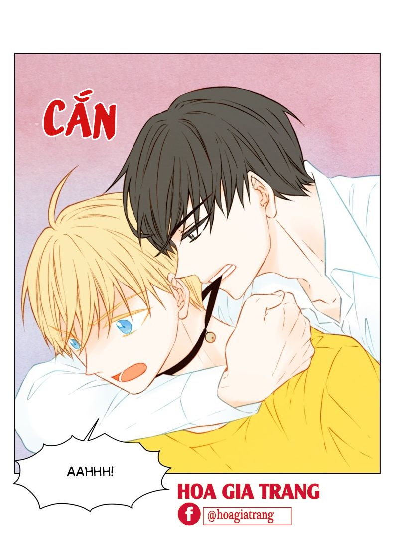 sao chép chapter 61 47