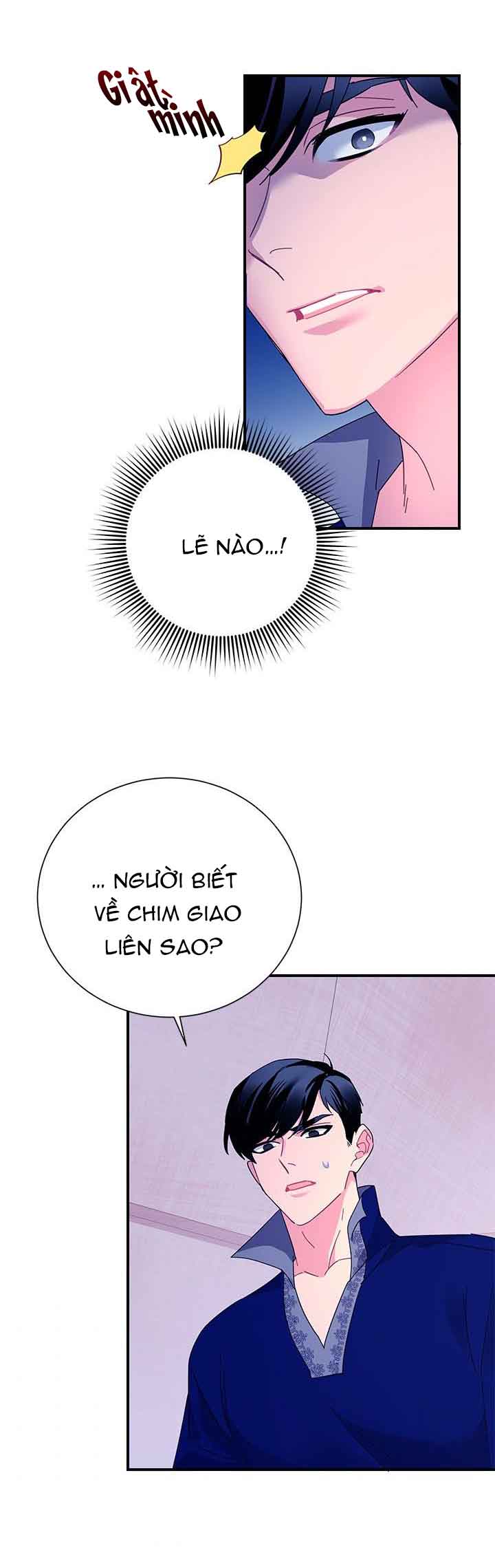 công chúa của loài chim chapter 42.2 5