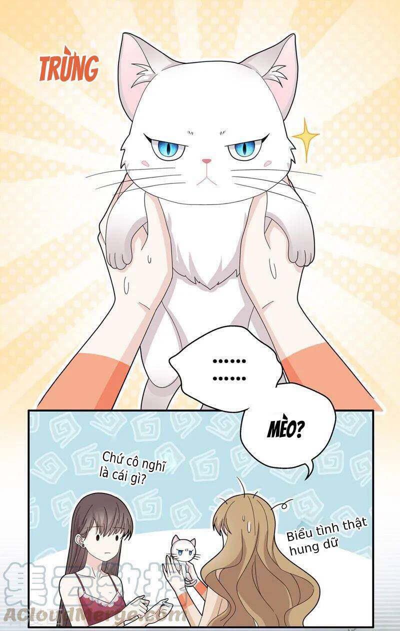 thiên kim bất lương chapter 41 13