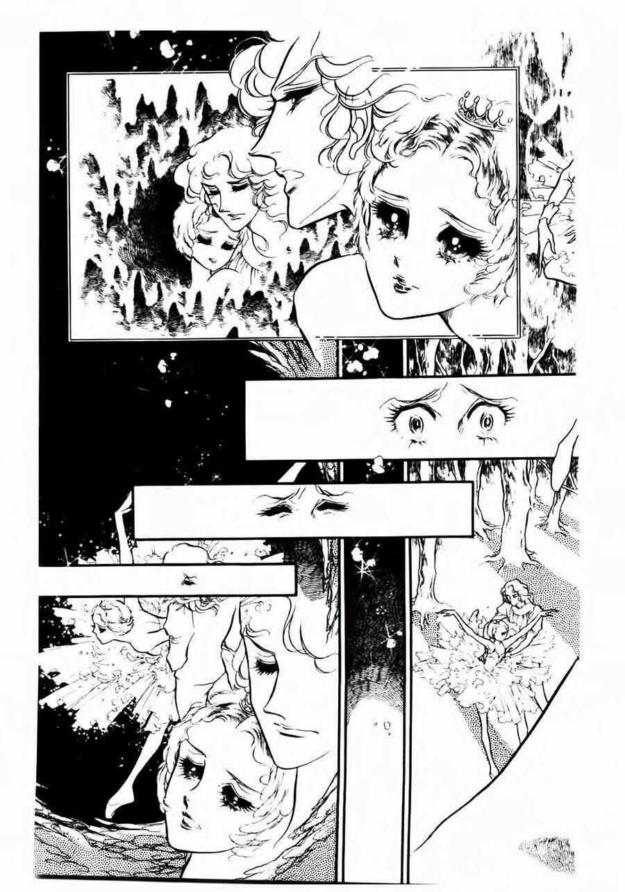 swan - vũ khúc thiên nga chapter 51 10