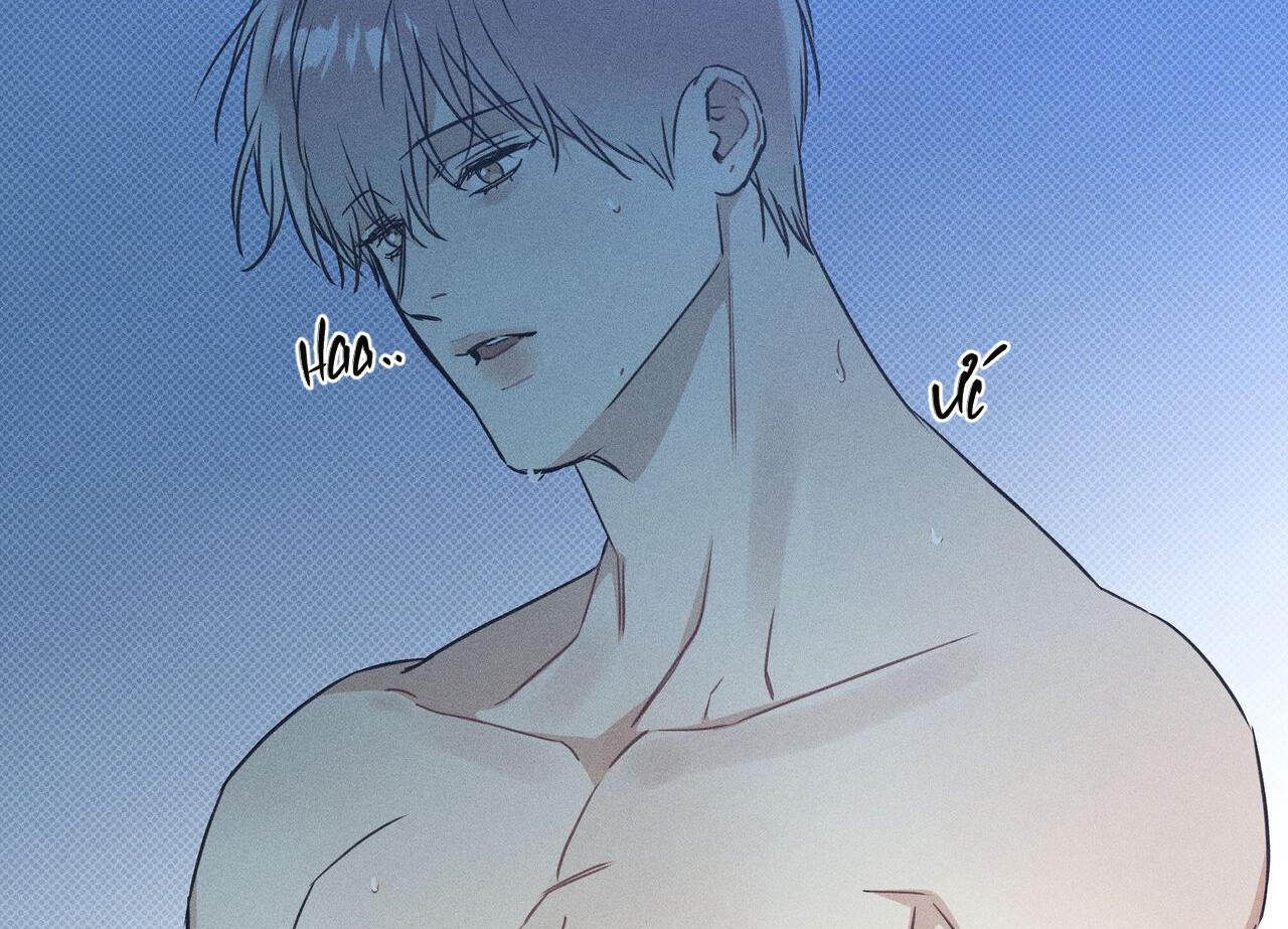 dải hợp âm trên đại dương xanh chapter 31 87