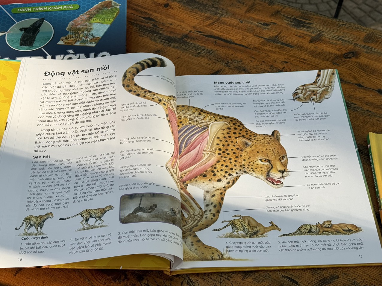 HÀNH TRÌNH KHÁM PHÁ – ĐỘNG VẬT_Gerald Legg &amp; Steve Weston- Hà Như Hoa dịch- Tân Việt - NXB Mỹ Thuật