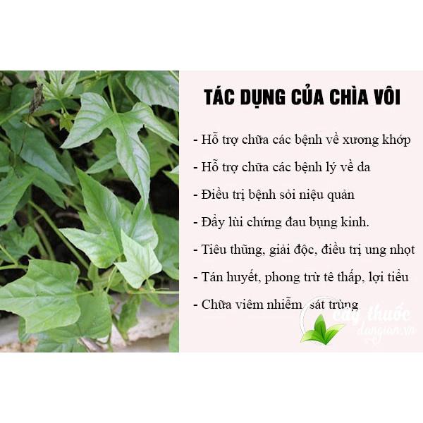 dây cây chìa vôi tươi sạch- 1kg