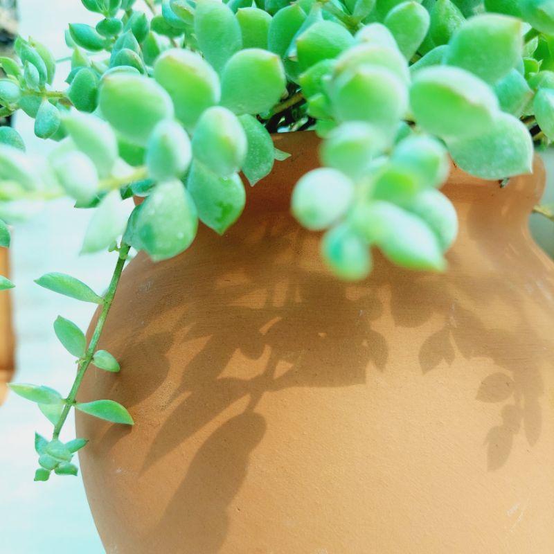 Chậu đất nung Bình Dương - Chum cao, miệng chậu 14cm, chiều cao 20cm