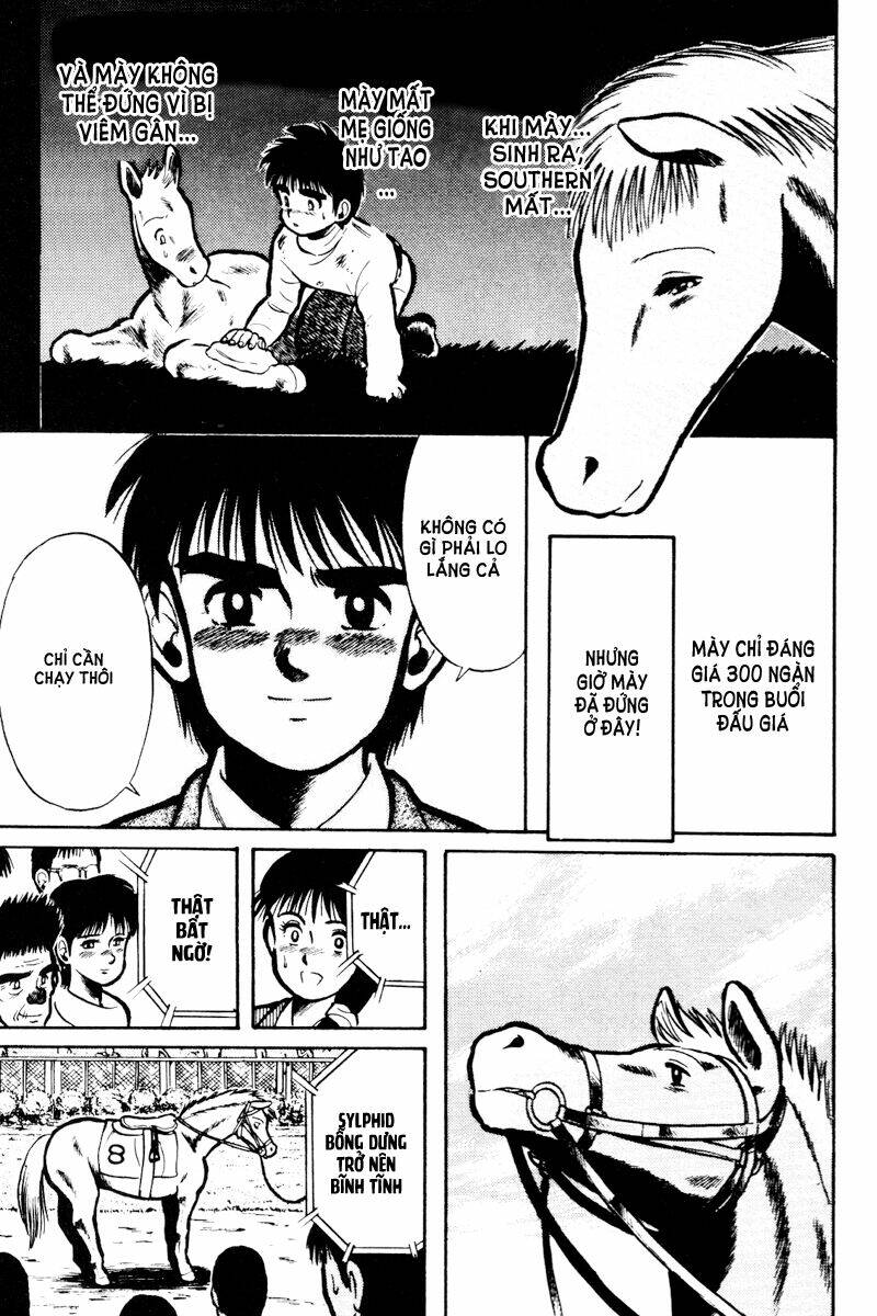 kaze no sylphid - phong mã silphid chapter 14 10
