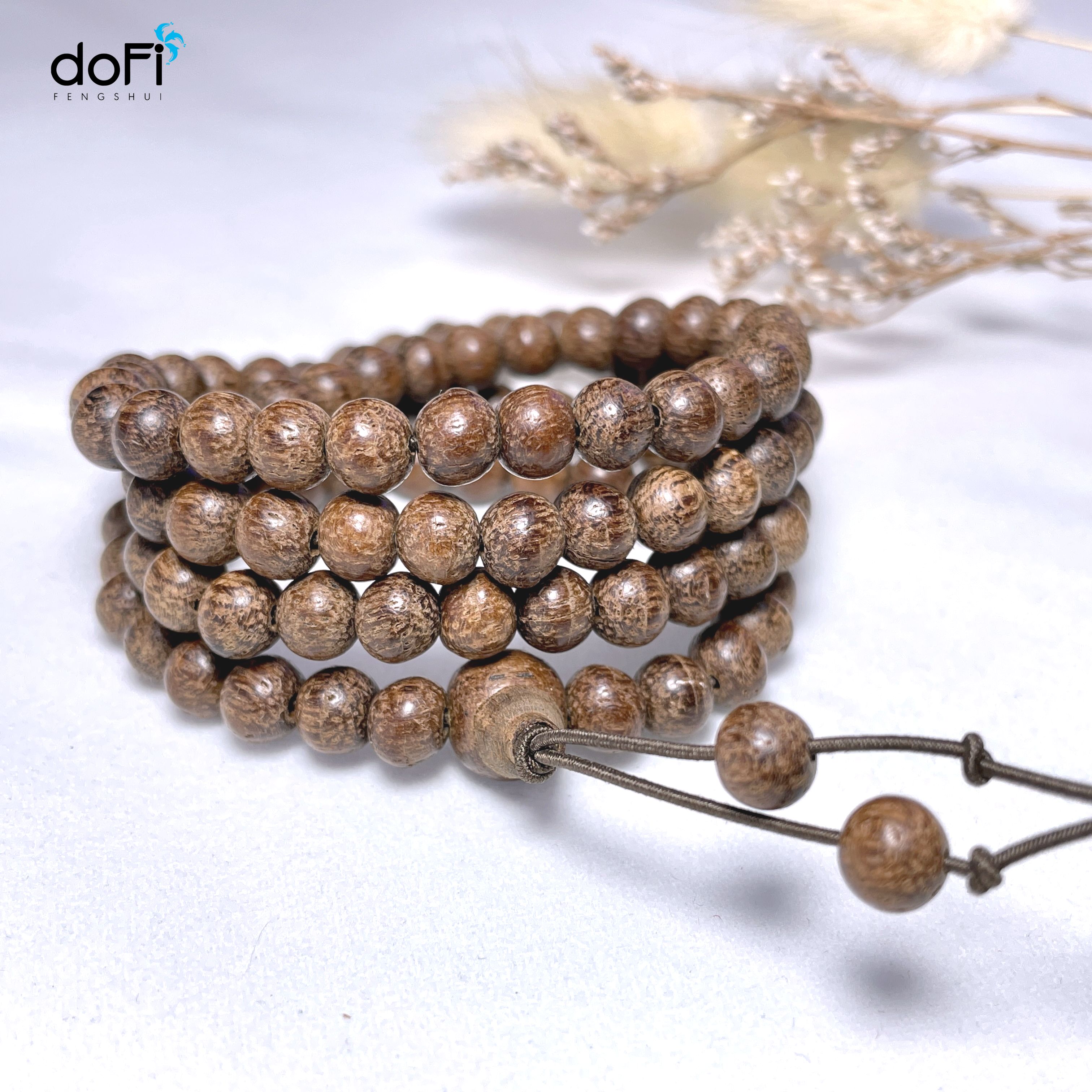 TRÀNG HẠT GỖ DÂU RỪNG 6 LI