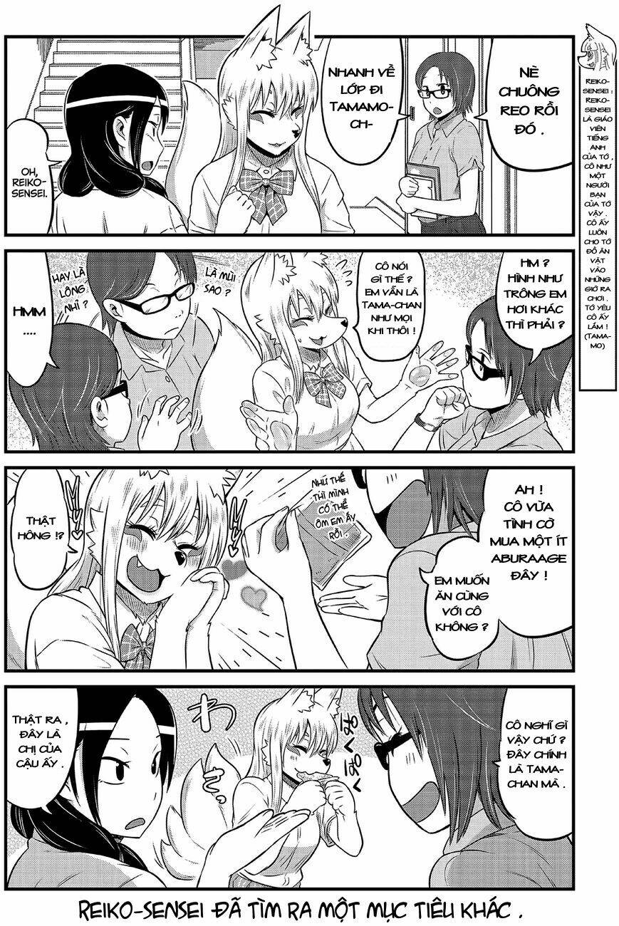 high school inari tamamo-chan ! chapter 10 7