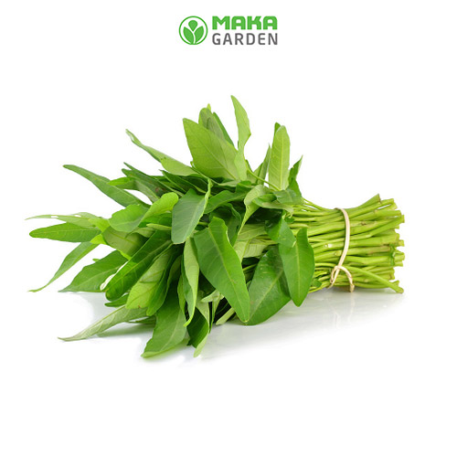 Hạt giống Rau Muống Lá Lớn Rado 13 - Gói 50Gr - Dễ Trồng, Sinh Trưởng Khỏe