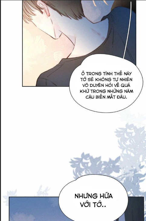 nỗi buồn của hoa cẩm tú cầu chapter 21 21