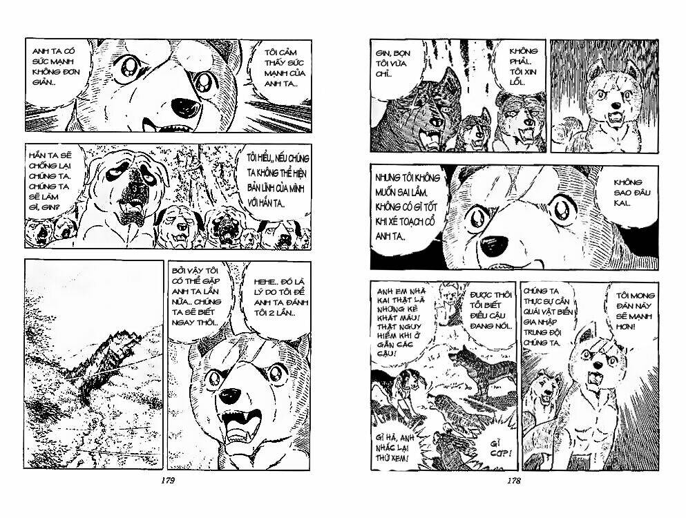 chú chó có nghĩa - ginga nagareboshi gin chapter 28 28