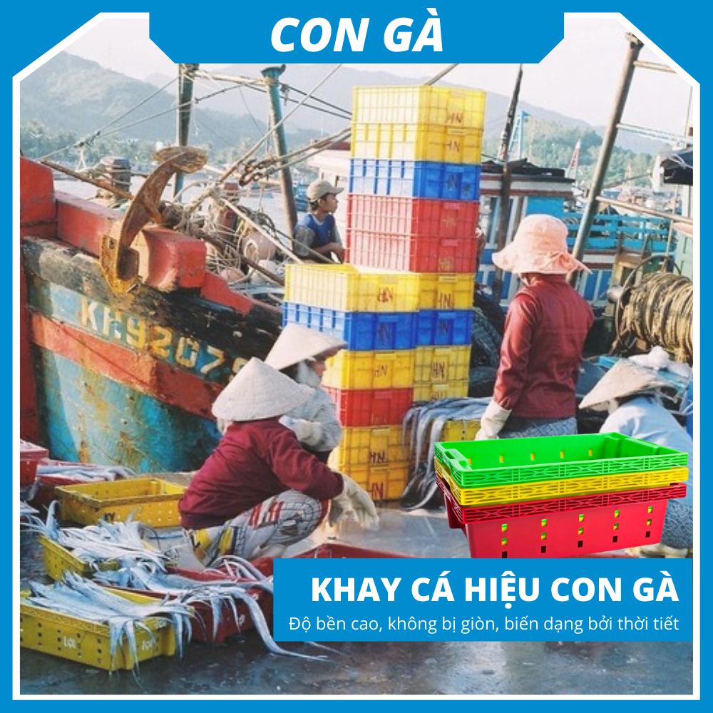 Khay nhựa trồng rau/khay nhựa đựng cá siêu bền Siam Brothers - Xanh