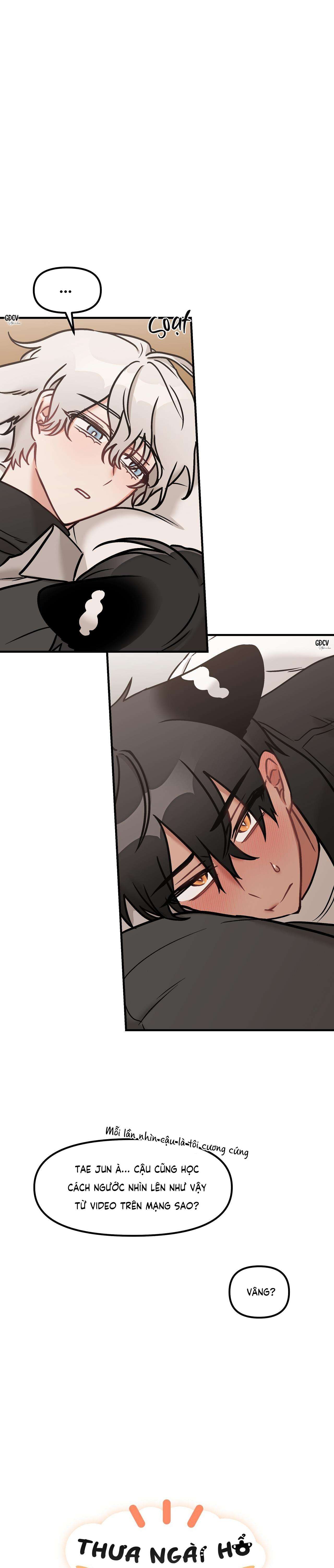 thưa ngài hổ, tôi đã ăn rất ngon miệng chapter 24 3