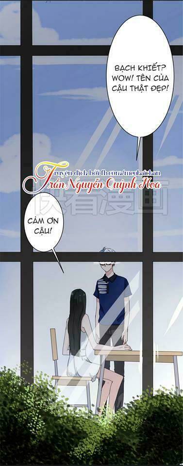 quy tắc của mỹ nam chapter 8 11
