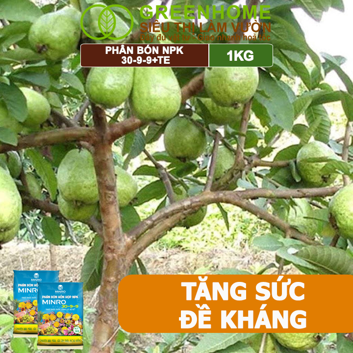 Phân NPK 30-9-9 +TE Greenhome, Minro, Bao 1Kg, Phát Triển Nhanh Thân, Cành, Lá, Bộ Rễ