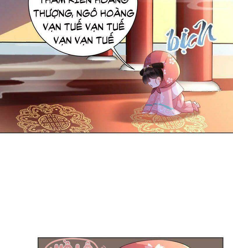 quận chúa vững vàng, thiết lập nhân vật không thể vỡ chapter 24 43