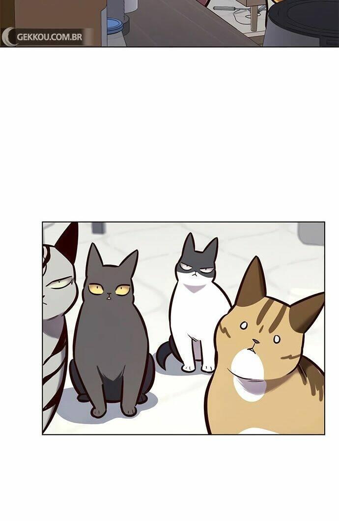 biến thân thành mèo chapter 188 34