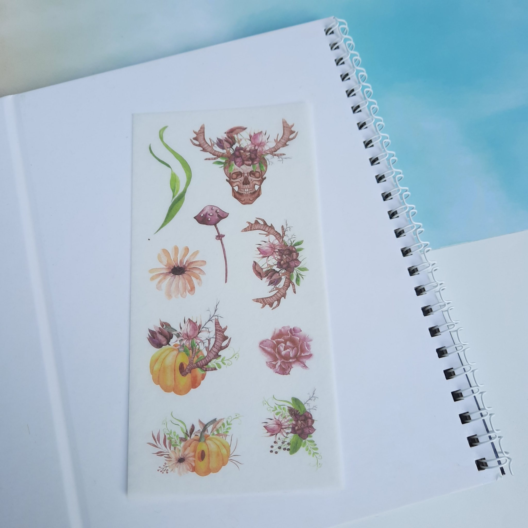 Bộ 6 Tấm Sticker Vườn Hoa Ma Quái