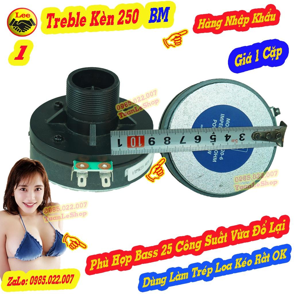 LOA TREP 250 BM REN XOÁY- HÀNG NHẬP -  LOA TREBLE  250 –TREBLE LOA KÉO – GIÁ 02 TREP 250