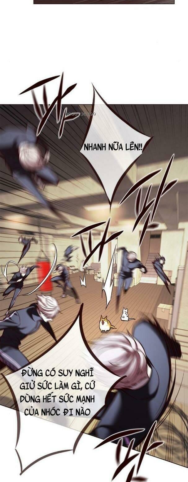 biến thân thành mèo chapter 179 23